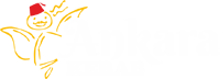 ankara logo