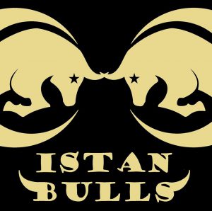 istan bulls